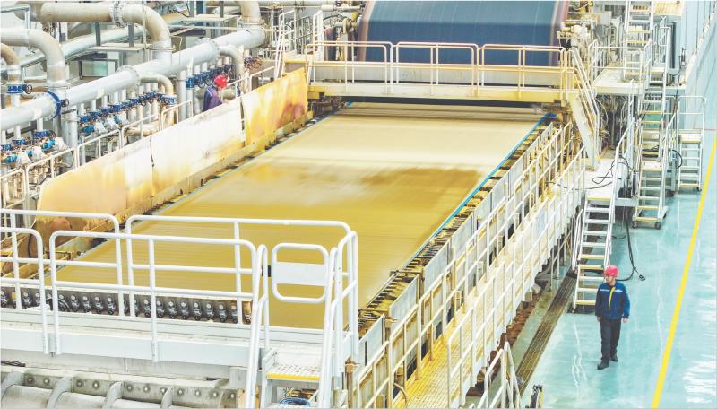 以纸代塑 “绿色”致富